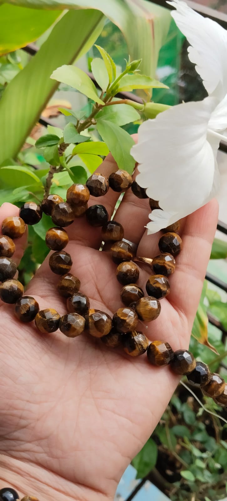 Tiger Eye Crystal Bracelet